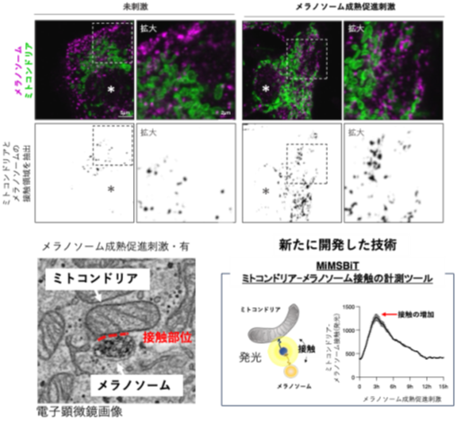 画像1.pngのサムネイル画像