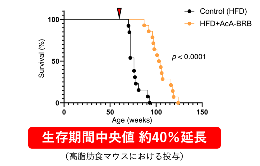 図4　改良型マイトルビンによる高脂肪食負荷マウスの生存期間延長