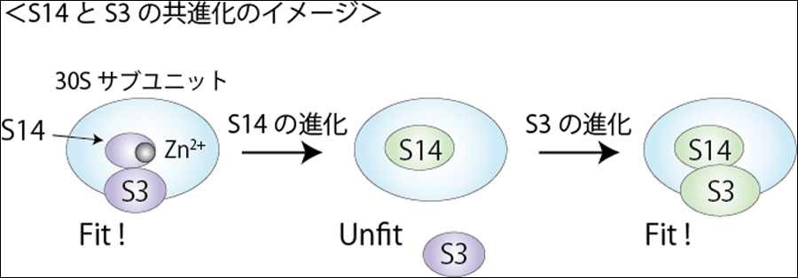 図