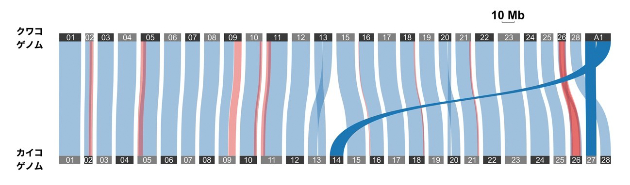 20250120release_fig1.jpg