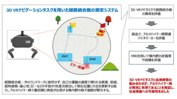  【研究成果・共同プレスリリース】3D仮想現実ナビゲーションでアルツハイマー病の超早期変化を発見 ― 血液アルツハイマー病指標と組み合わせたスクリーニングの有用性を実証―