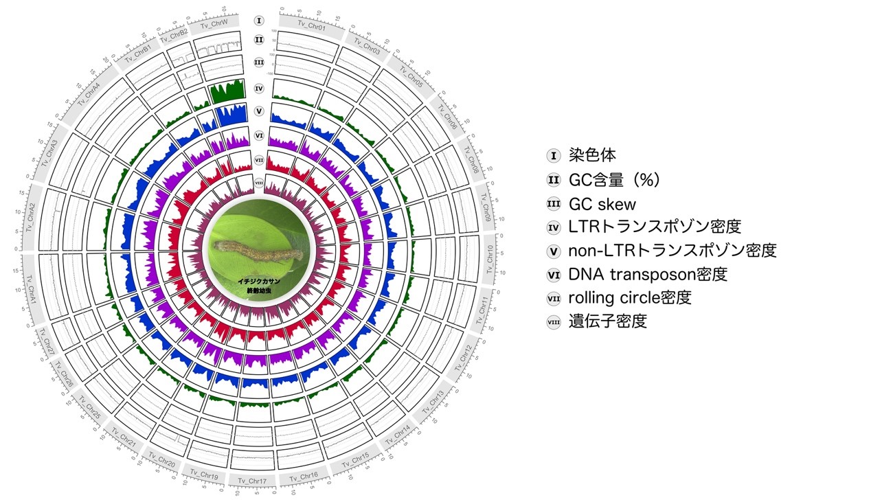 20250128release_fig1.jpg