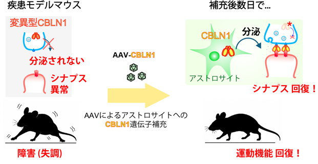 図2.png