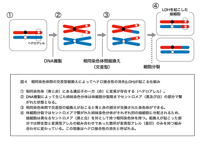 20221006release_web_fig4.png