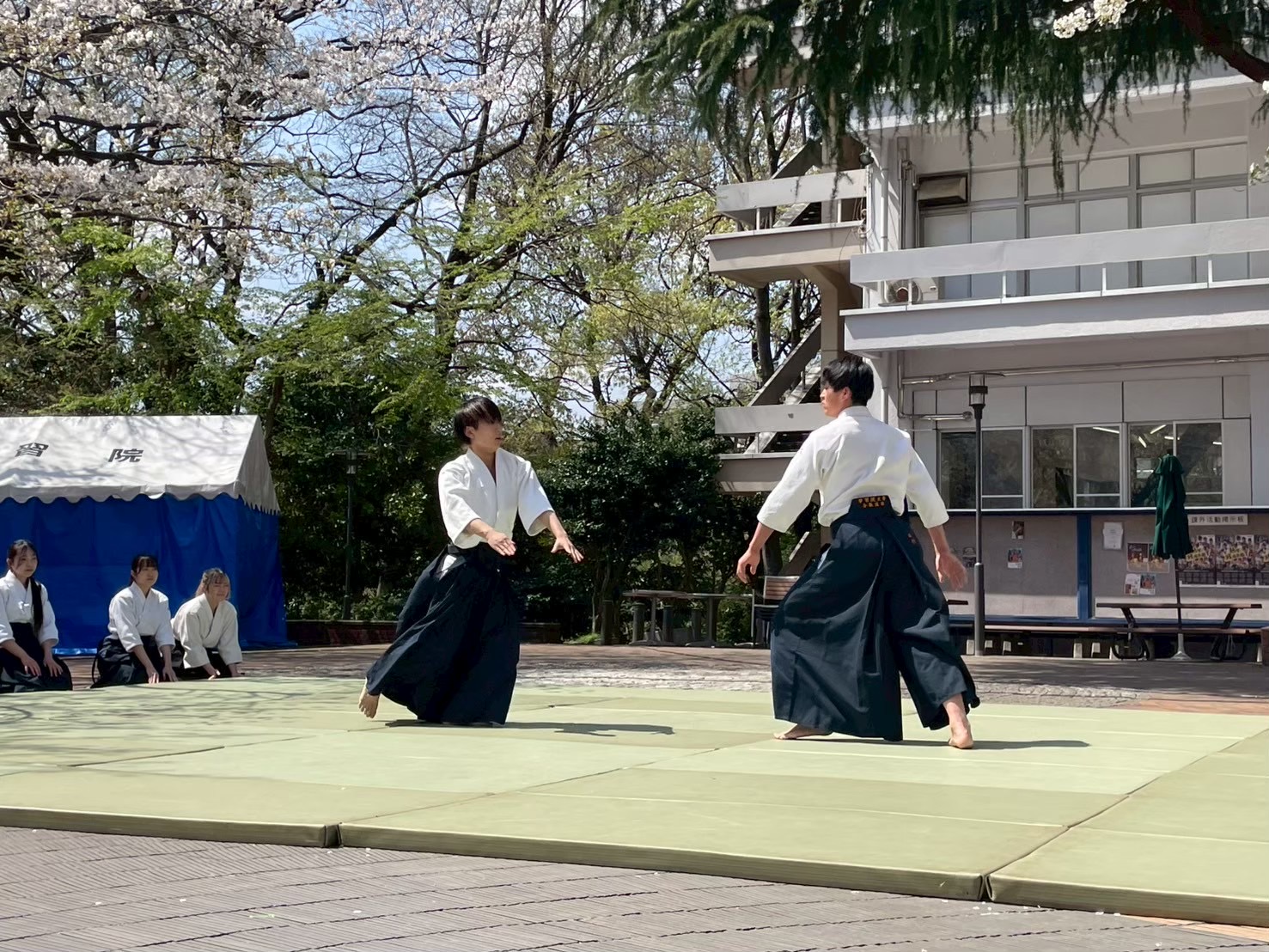 合気道部