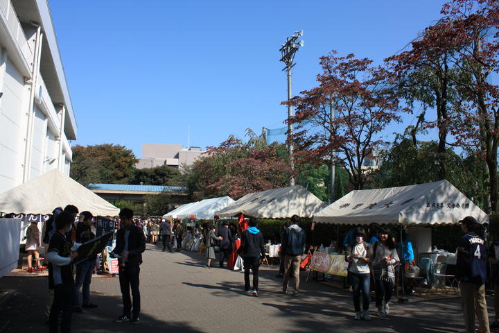 桜凜祭