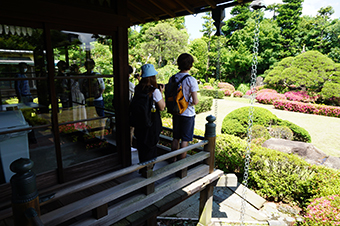 Walking in the Shibamata area