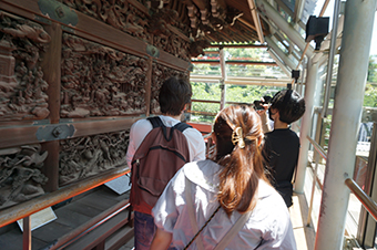 Walking in the Shibamata area