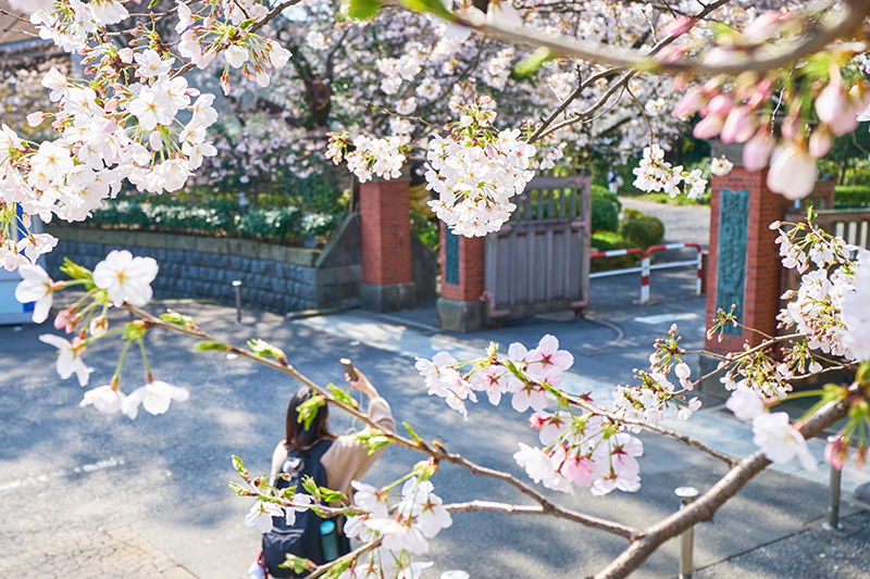 事前予約制キャンパス見学Day in目白キャンパス