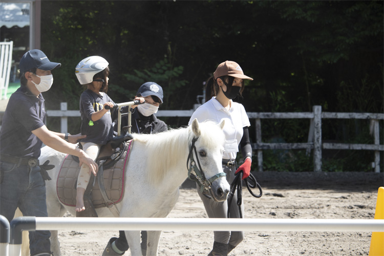 馬とふれあう会