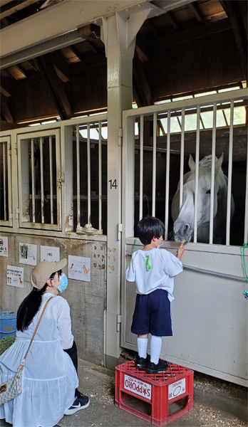 馬とふれあう会