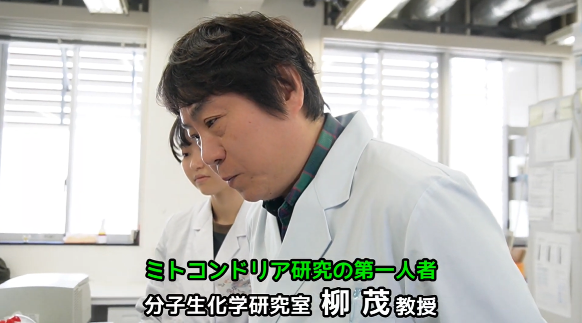 学習院大学発のベンチャー企業、株式会社マイトジェニックの取り組みが紹介されました