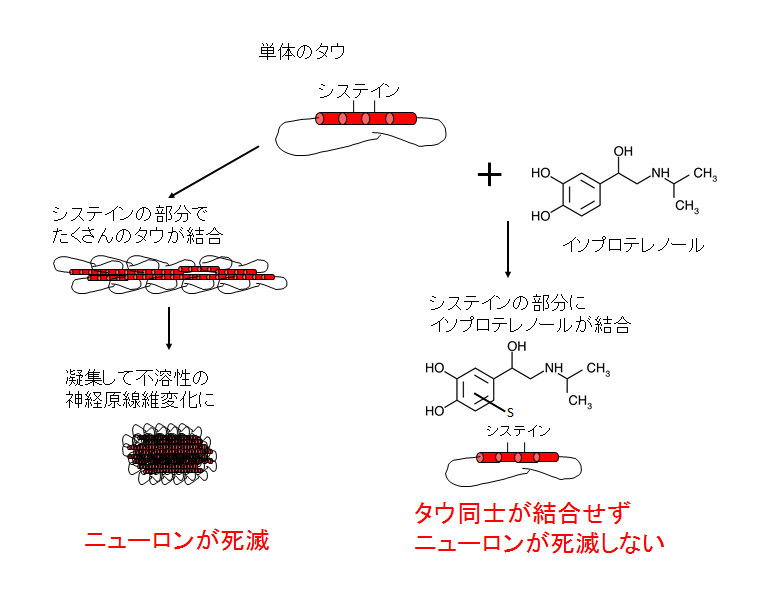 図　タウの凝集の仕組みとそれを食い止める手法