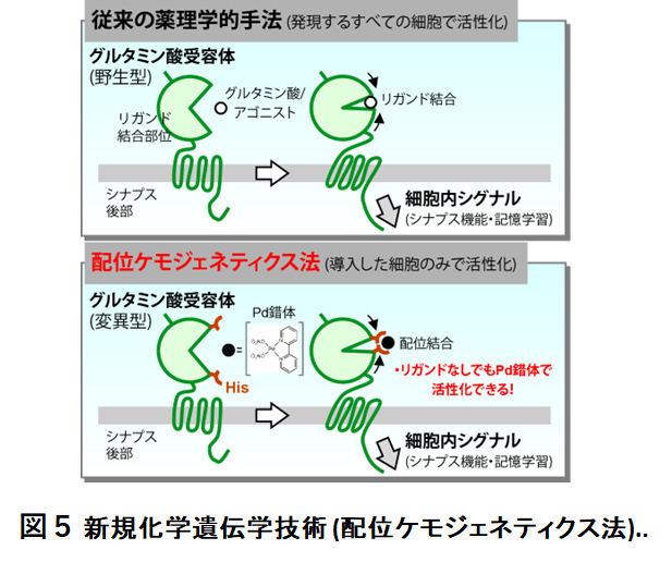 HP用図５.jpg